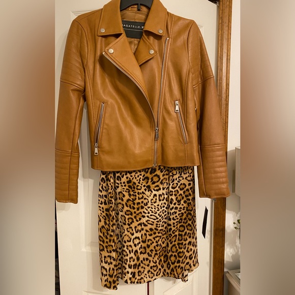 Womens Bagatelle moto jacket - Picture 12 of 12
